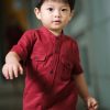 Boys moleyapparels | Brushed Cotton Twin Pocket Short Sleeve Shirt Red (Boy'S Shirt)