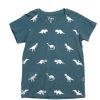 Boys moleyapparels | Dino Print T-Shirt Turquoise (Boy'S T-Shirt)