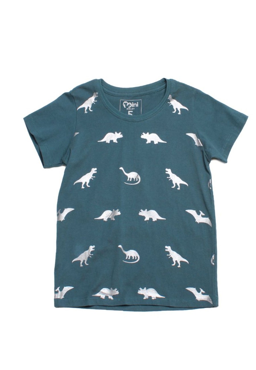 Boys moleyapparels | Dino Print T-Shirt Turquoise (Boy'S T-Shirt)