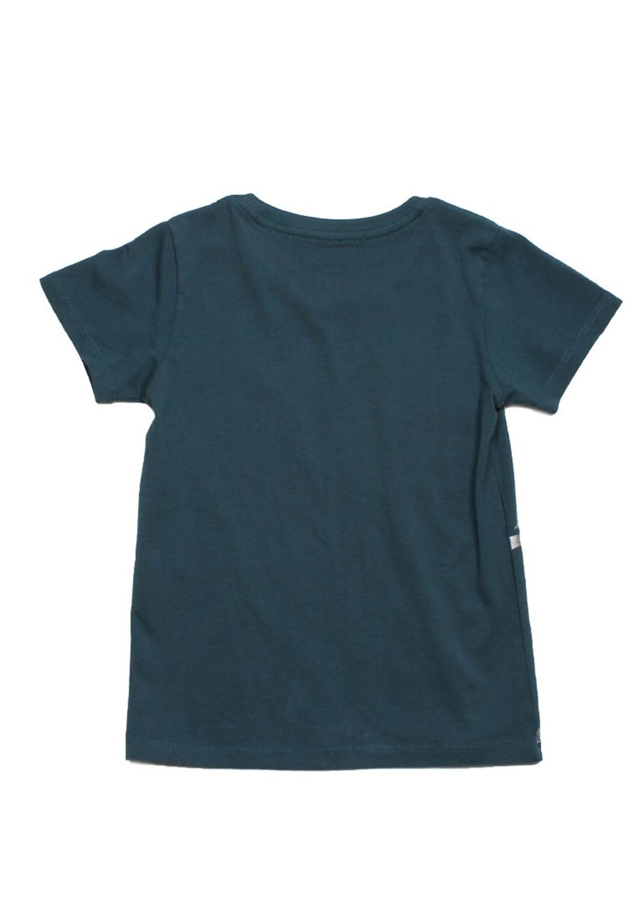 Boys moleyapparels | Dino Print T-Shirt Turquoise (Boy'S T-Shirt)