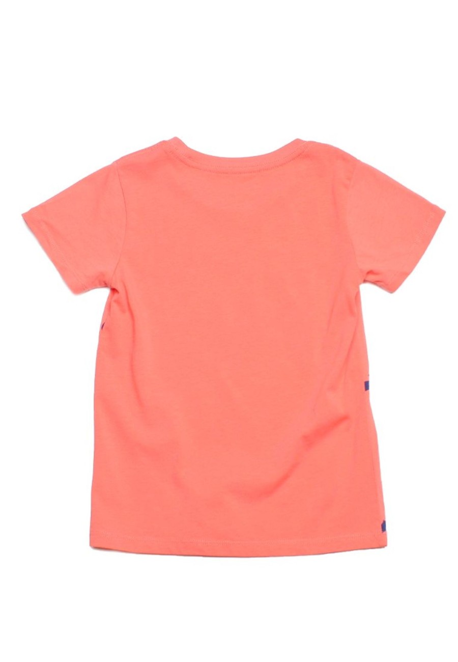 Boys moleyapparels | Dino Print T-Shirt Orange (Boy'S T-Shirt)