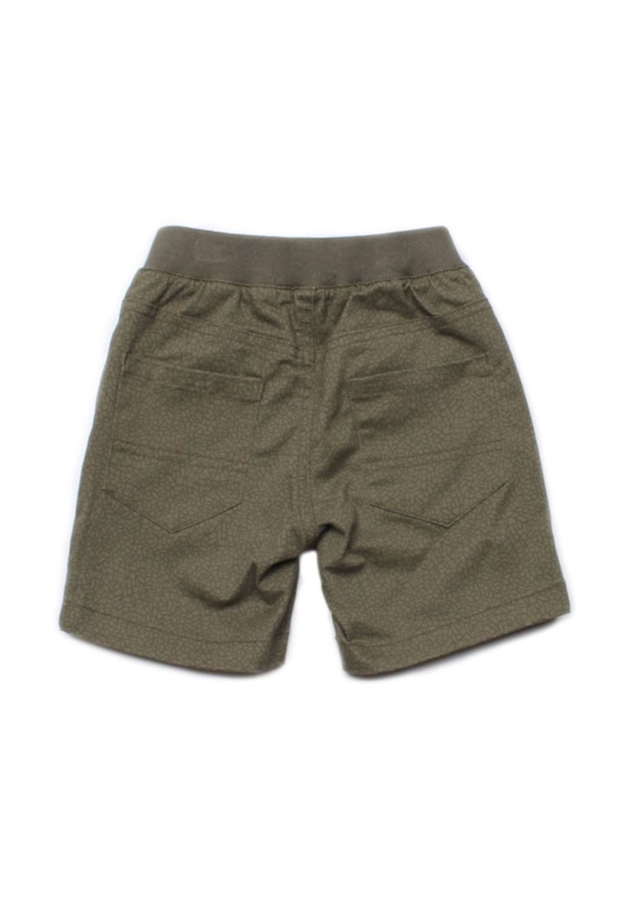 Boys moleyapparels | Mosaic Print Shorts Green (Boy'S Shorts)