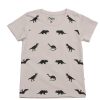 Boys moleyapparels | Dino Print T-Shirt Grey (Boy'S T-Shirt)