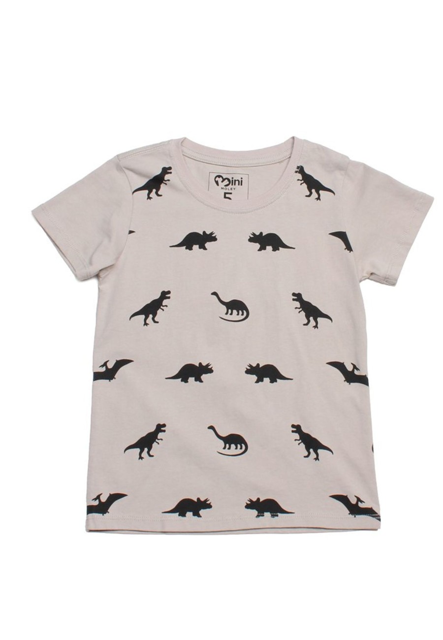 Boys moleyapparels | Dino Print T-Shirt Grey (Boy'S T-Shirt)